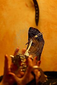 Foto di Lady De Sade Italy
